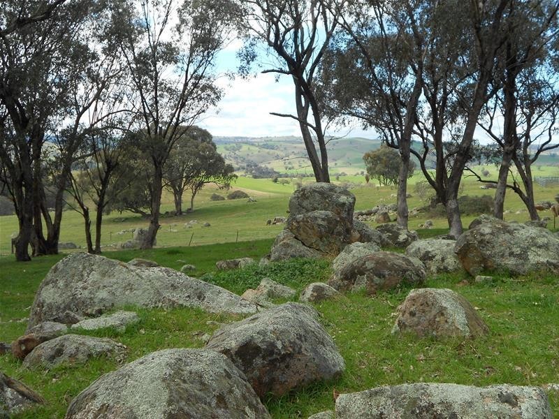 1391 Pine Mount Road, Woodstock NSW 2793