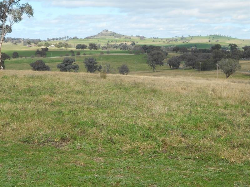 1391 Pine Mount Road, Woodstock NSW 2793