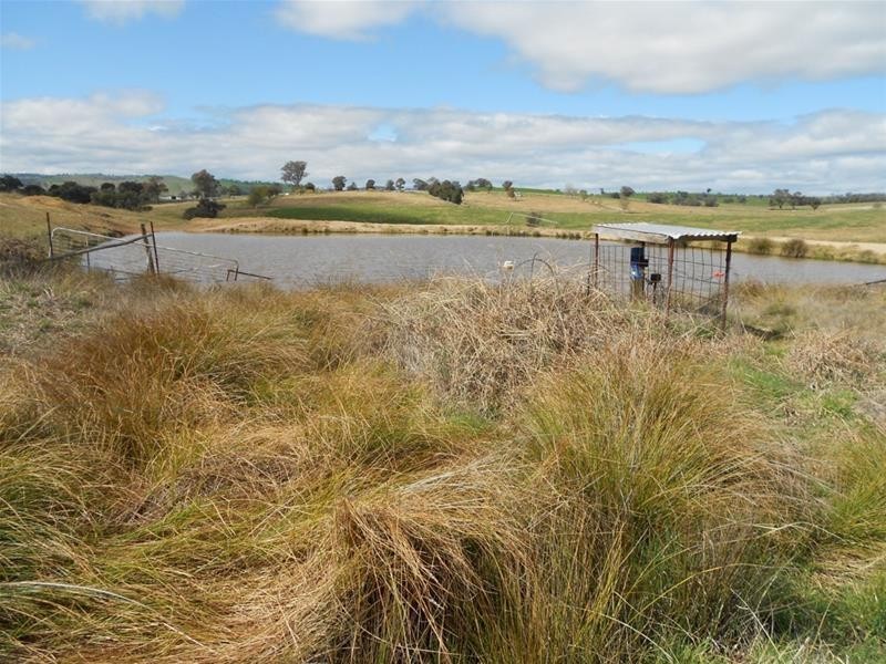 1391 Pine Mount Road, Woodstock NSW 2793