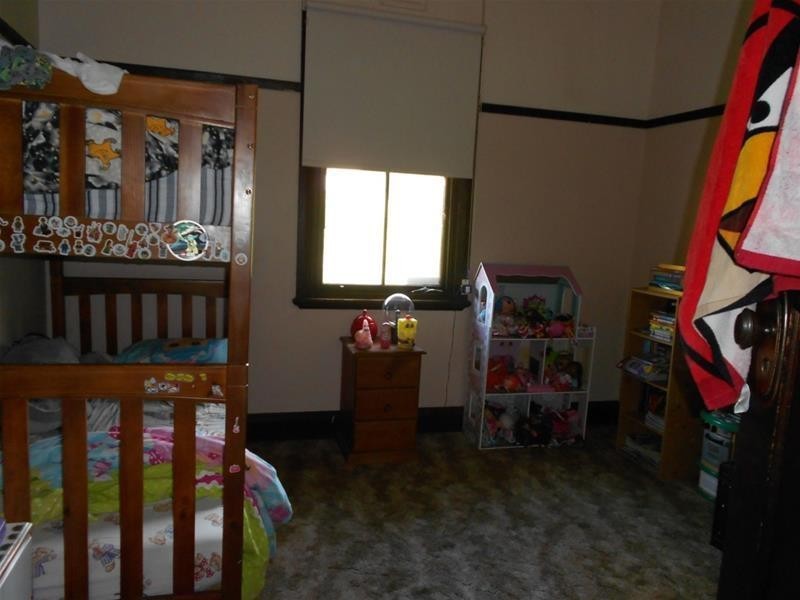 28 Canowindra Street, Canowindra NSW 2804