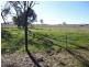 Lot 203, 1291 Belowra Road, Murringo NSW 2586