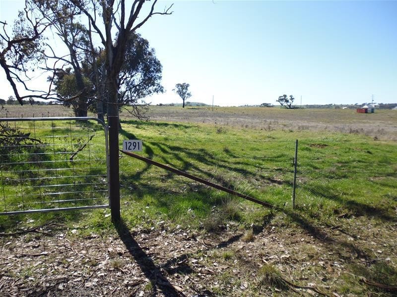 Lot 203, 1291 Belowra Road, Murringo NSW 2586