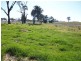 Lot 203, 1291 Belowra Road, Murringo NSW 2586