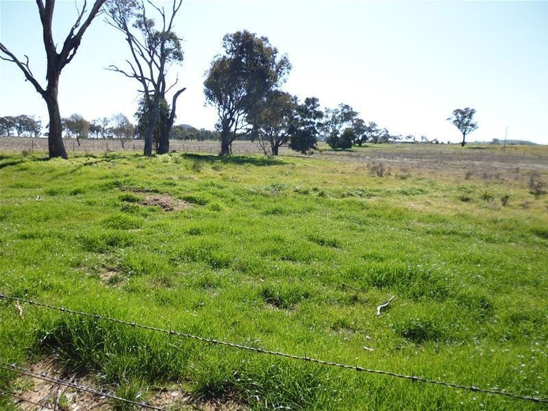 Lot 203, 1291 Belowra Road, Murringo NSW 2586