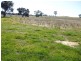 Lot 203, 1291 Belowra Road, Murringo NSW 2586