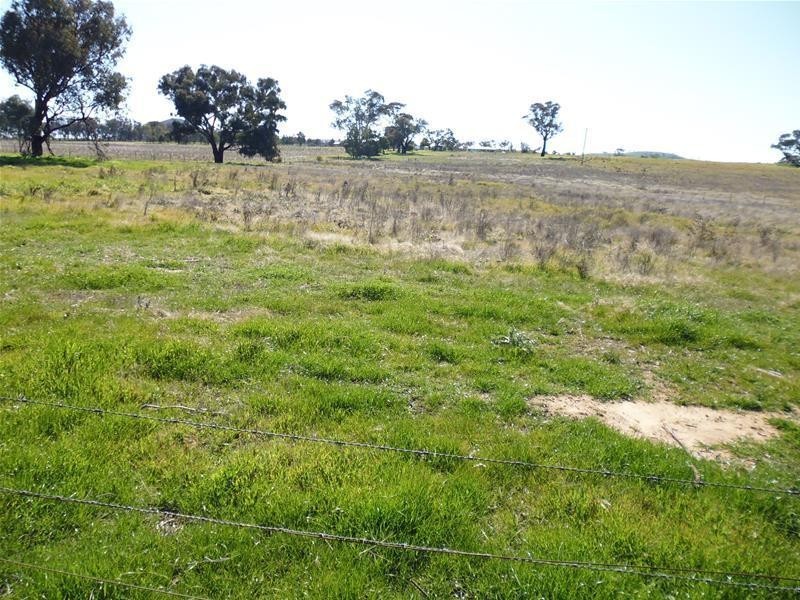 Lot 203, 1291 Belowra Road, Murringo NSW 2586