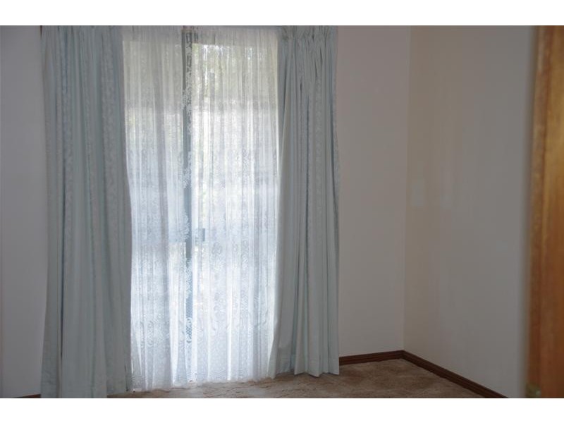 Peter Whitty Road, Darbys Falls NSW 2793