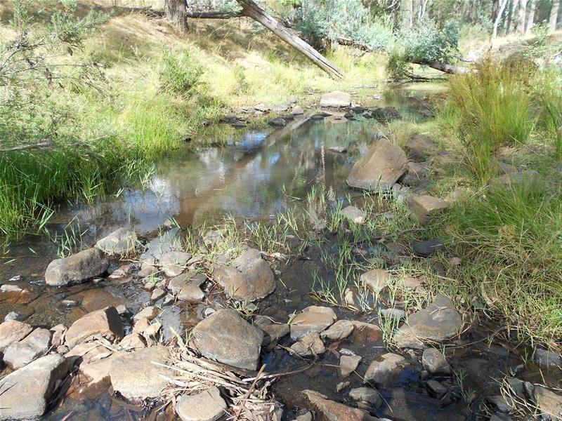 1642 Kangarooby Road, Gooloogong NSW 2805