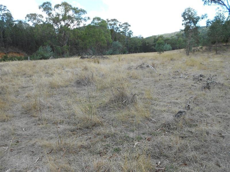 1642 Kangarooby Road, Gooloogong NSW 2805