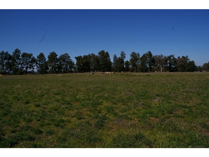 Grenfell Road, Cowra NSW 2794