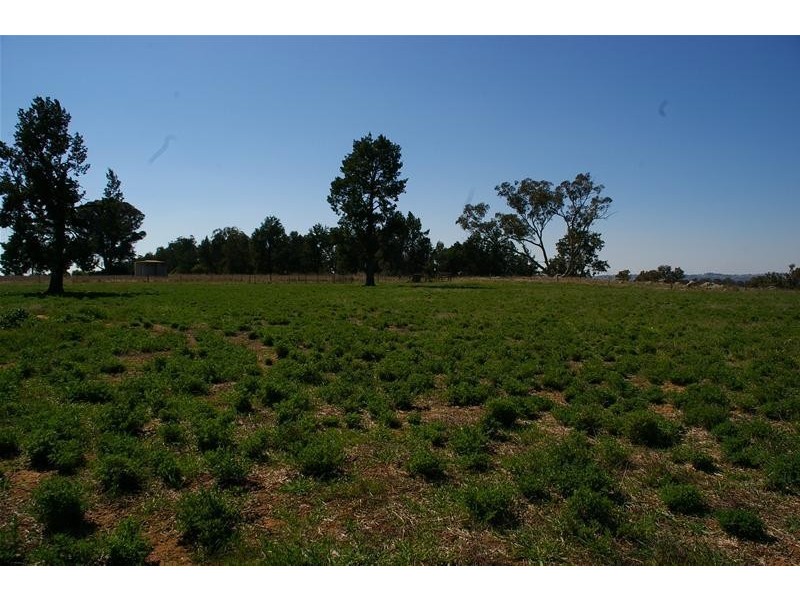 Grenfell Road, Cowra NSW 2794