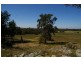 Grenfell Road, Cowra NSW 2794