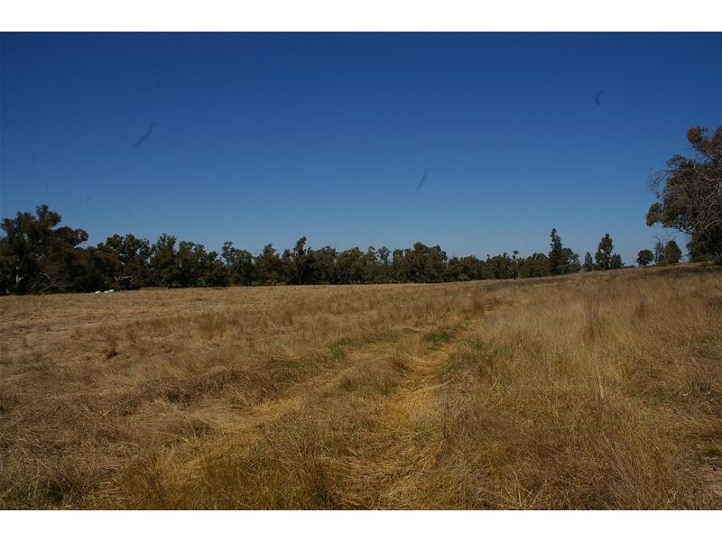 Grenfell Road, Cowra NSW 2794