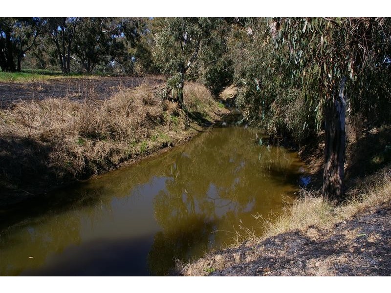 Grenfell Road, Cowra NSW 2794