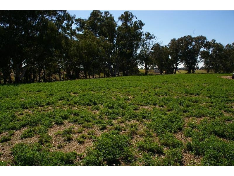 Grenfell Road, Cowra NSW 2794