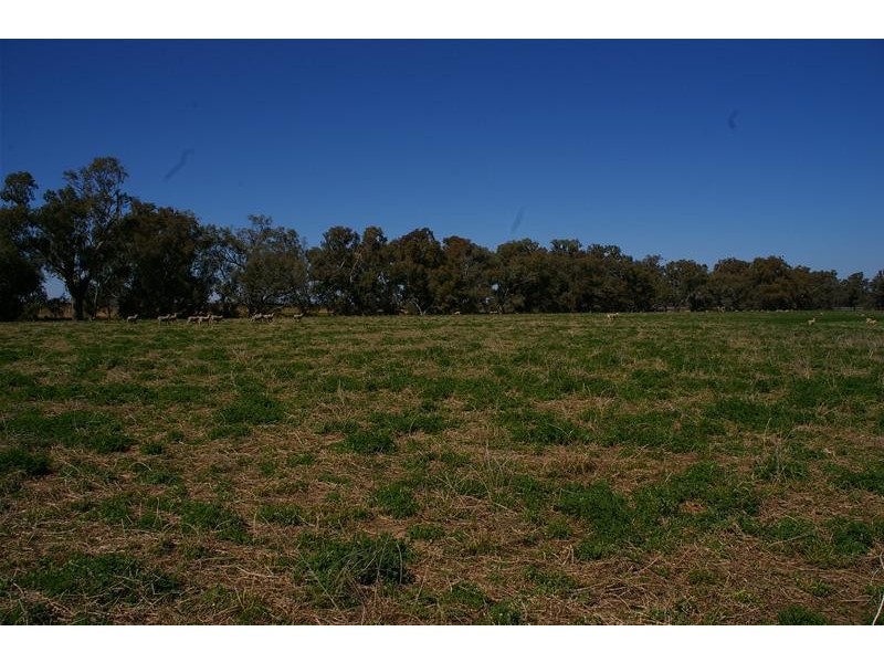 Grenfell Road, Cowra NSW 2794