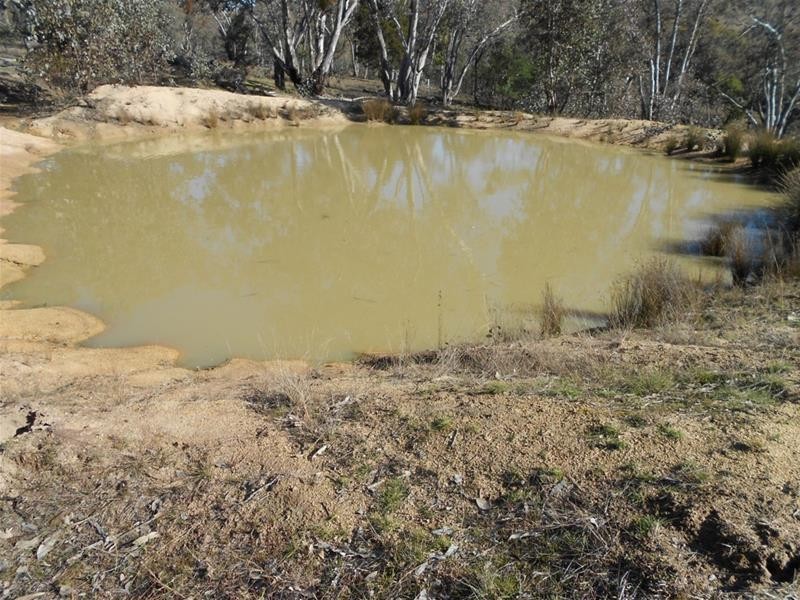 21 Cobb Way, Woodstock NSW 2793