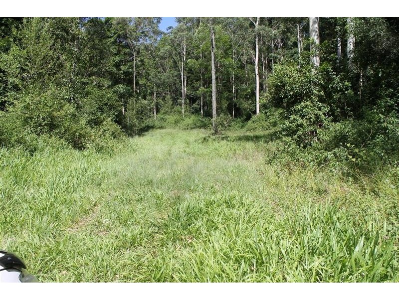 Lot 41 Roseberry Creek Road, Roseberry Creek NSW 2474