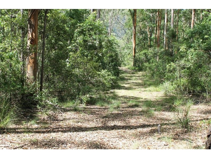 Lot 41 Roseberry Creek Road, Roseberry Creek NSW 2474