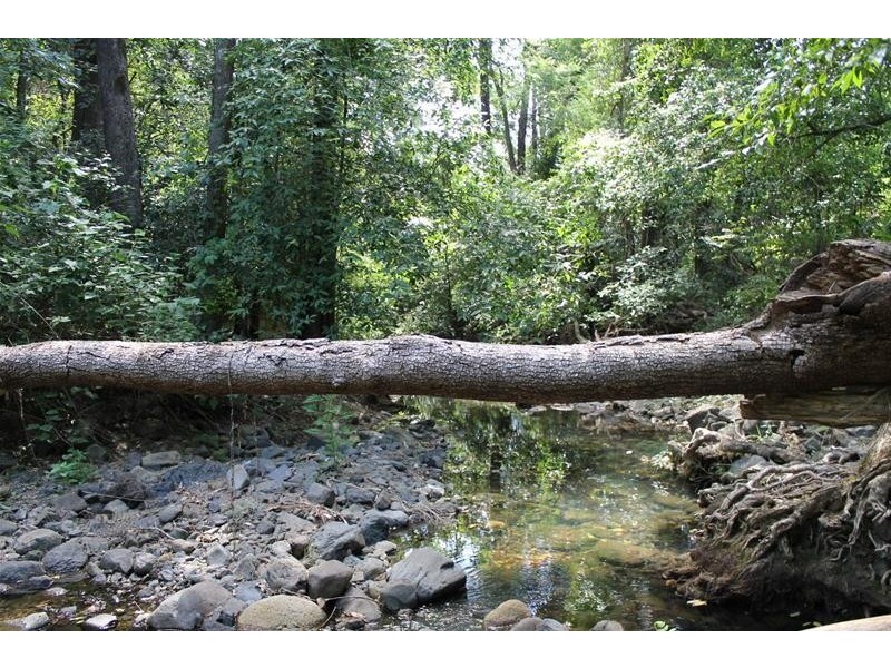 Lot 41 Roseberry Creek Road, Roseberry Creek NSW 2474