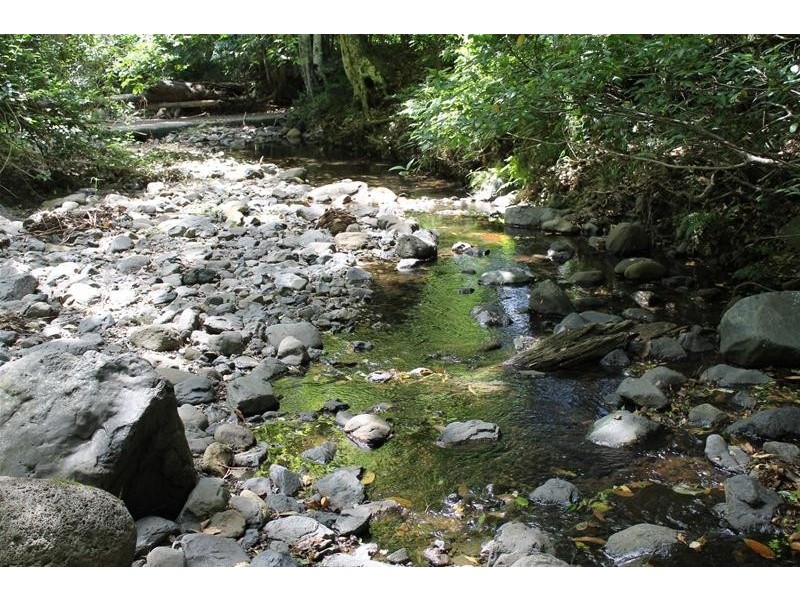 Lot 41 Roseberry Creek Road, Roseberry Creek NSW 2474