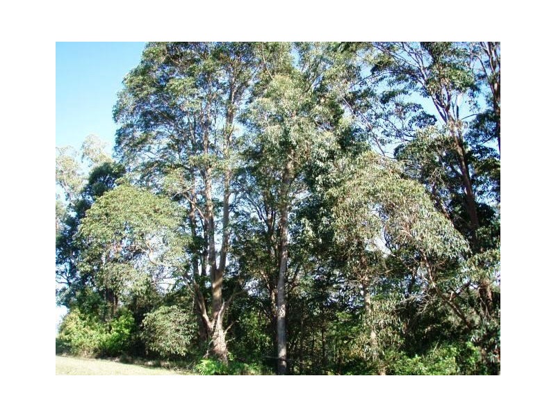 24 Highview Crescent, Modanville NSW 2480