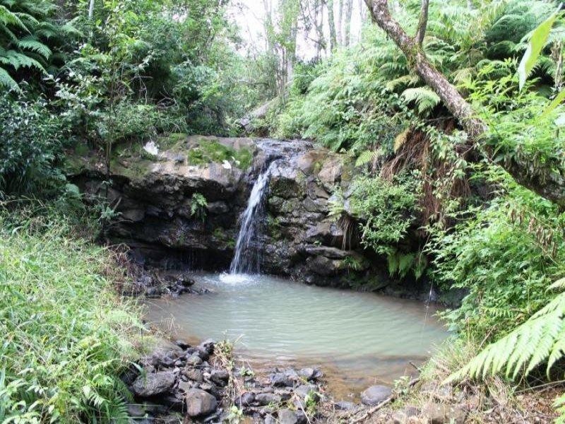 78 Tulsi Lane, Nimbin NSW 2480