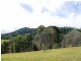 78 Tulsi Lane, Nimbin NSW 2480