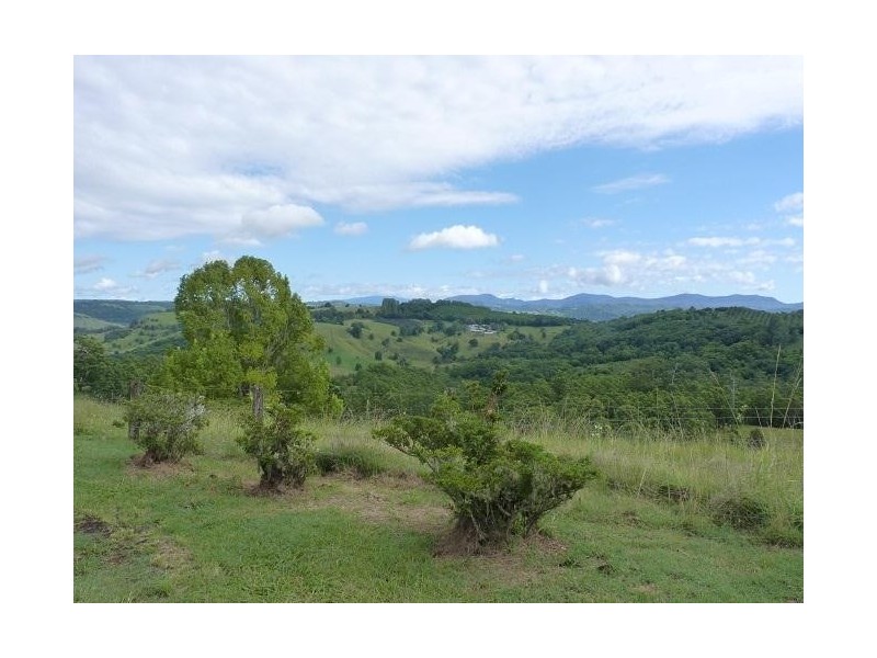 65 Funnell Drive, Modanville NSW 2480