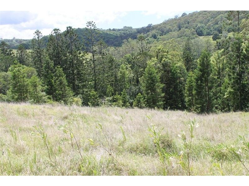 309 Henson Road, Wyrallah NSW 2480