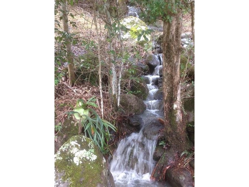 205 Yeager Road, Leycester NSW 2480