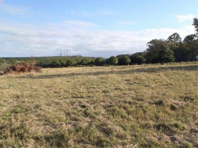 4/223 Parrots Nest Road, South Gundurimba NSW 2480