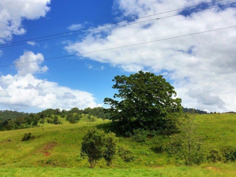 61 Cullen Road, Nimbin NSW 2480