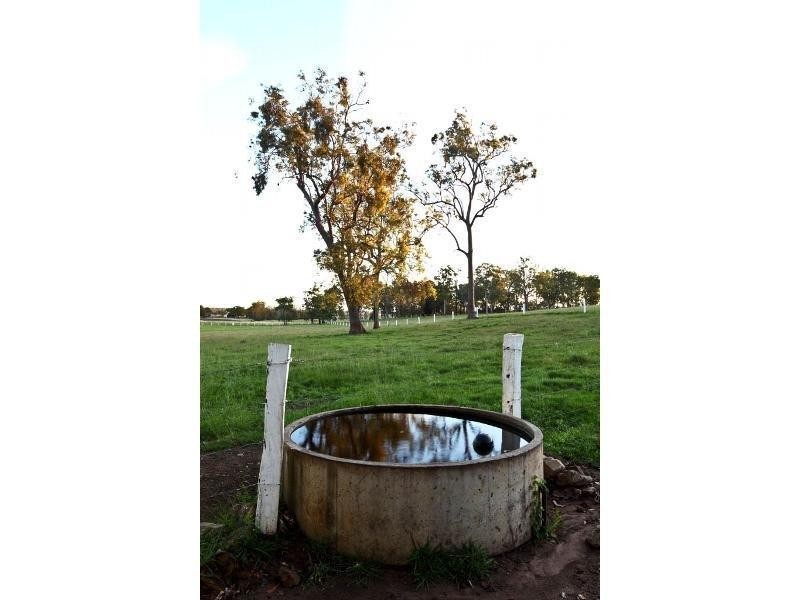 105 Vidlers Road, Spring Grove NSW 2470