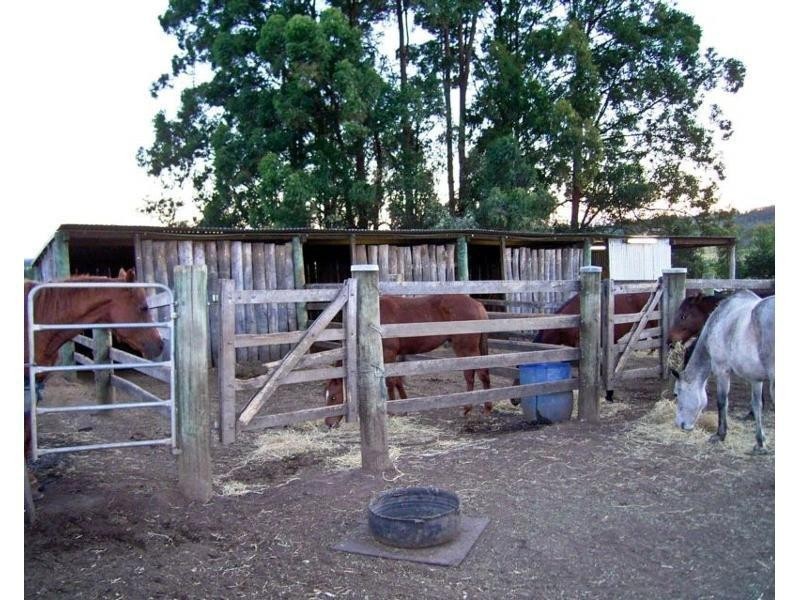 105 Vidlers Road, Spring Grove NSW 2470