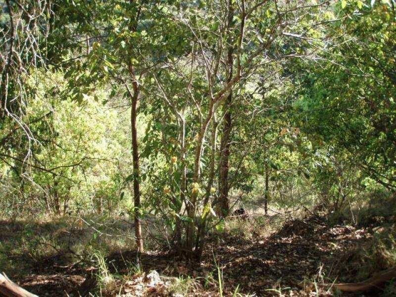 24 Highview Crescent, Modanville NSW 2480