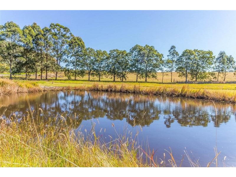 3 Douglas Crescent, Fairy Hill NSW 2470