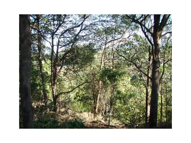 24 Highview Crescent, Modanville NSW 2480