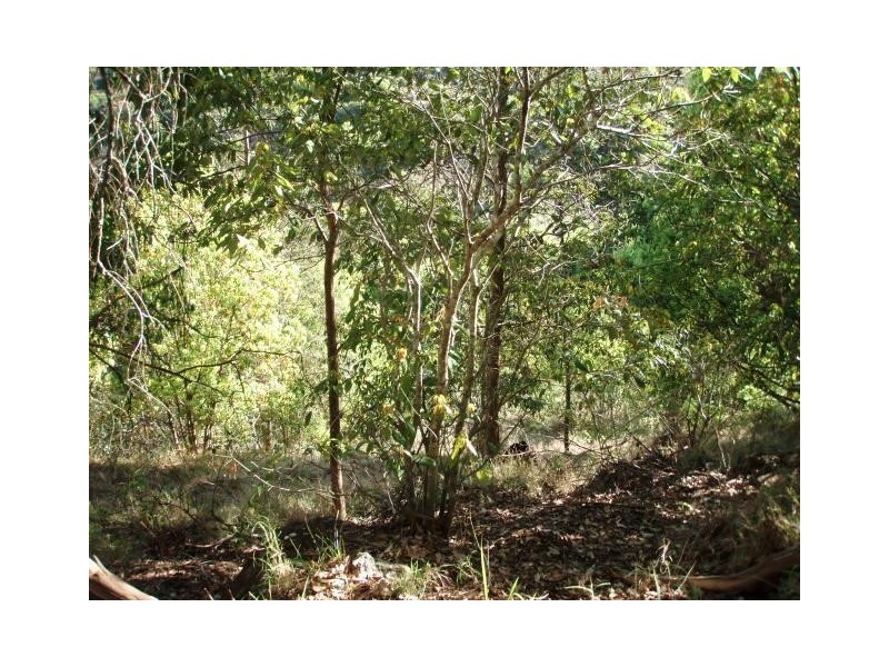 24 Highview Crescent, Modanville NSW 2480