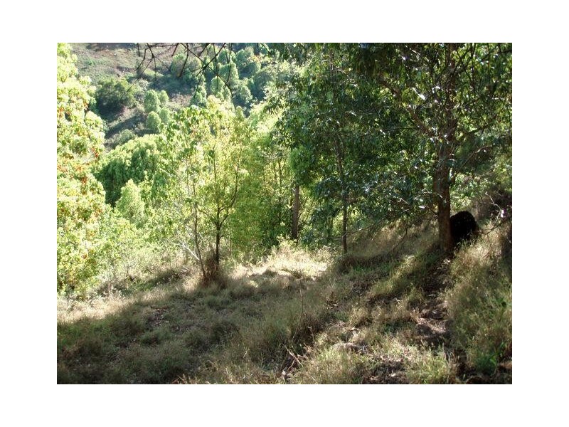 24 Highview Crescent, Modanville NSW 2480