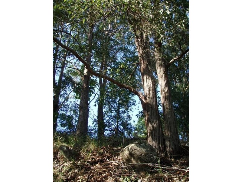 24 Highview Crescent, Modanville NSW 2480