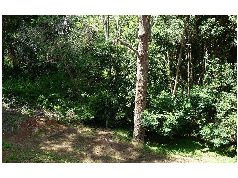 12 Stevenson Street, Goonellabah NSW 2480