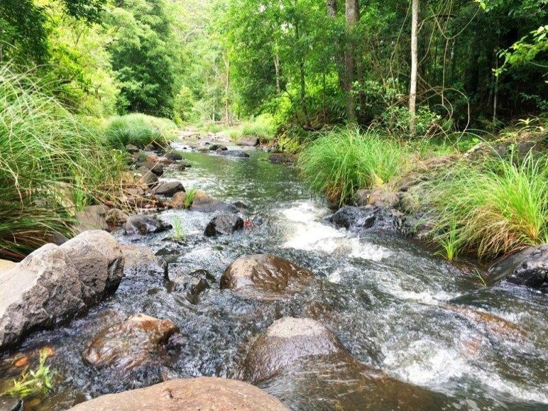 508 Gungas Road, Nimbin NSW 2480