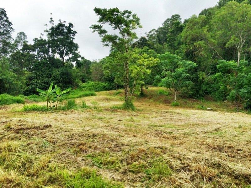 508 Gungas Road, Nimbin NSW 2480