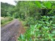 508 Gungas Road, Nimbin NSW 2480