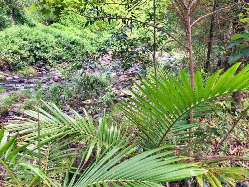 508 Gungas Road, Nimbin NSW 2480