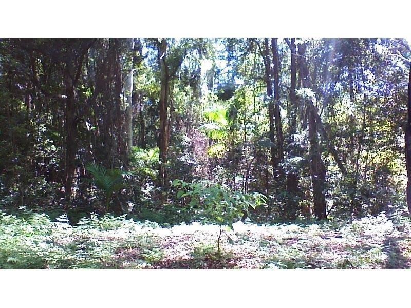 508 Gungas Road, Nimbin NSW 2480