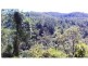 508 Gungas Road, Nimbin NSW 2480