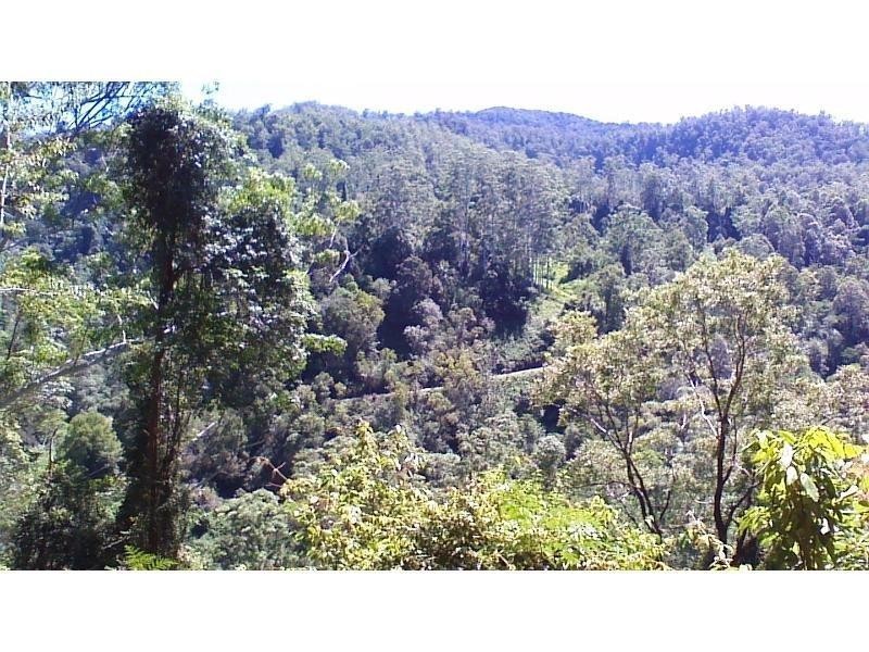 508 Gungas Road, Nimbin NSW 2480