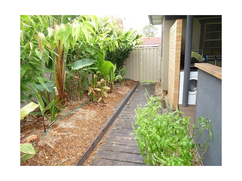 56 Oakley Avenue, East Lismore NSW 2480